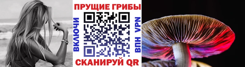 Псилоцибиновые грибы Magic Shrooms  Барнаул 